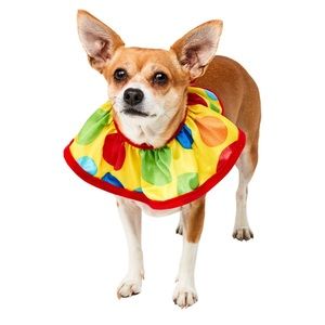 🆕 Rubies Pet Shop Clown Collar